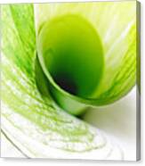 Abstract Green Wite Flowers Macro Photography Art Work Square Canvas Print