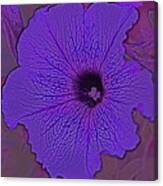 Abstract Flower Canvas Print