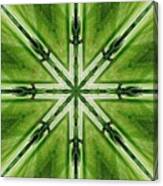 Abstract Green Cross Canvas Print