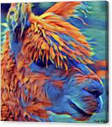 Abstract Llama Canvas Print
