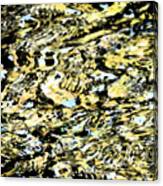 Abstract Of Merced River Canvas Print