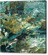 Abstract Of The Underwater World. Production By Nature Canvas Print