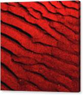 Abstract Red Sand- 2 Canvas Print