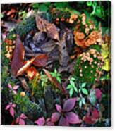 Adirondack Autumn Bouquet Canvas Print