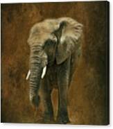 African Elephant With Textures Canvas Print