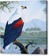 African Fish Eagle Canvas Print
