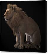 African Lion On Black Canvas Print