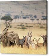 African Safari Animals In Dreamy Kenya Scene Canvas Print