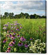 Afternoon In Moraine Hills State Park Canvas Print