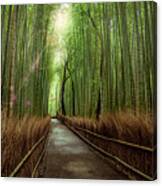 Afternoon In The Bamboo Canvas Print