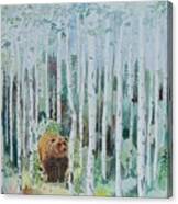 Alaska -  Grizzly In Woods Canvas Print