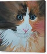 Ali Cat Abstract Canvas Print