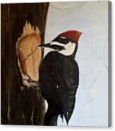 Aliyahs Woodpecker Canvas Print