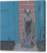 Alley Cat Canvas Print