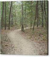 Along Our Winding Paths Canvas Print