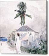 Along The Road   Bahamas 1885 Canvas Print