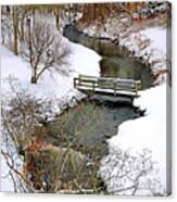 Along Town Brook Plymouth Ma Canvas Print
