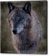 Alpha Wolf Portrait Canvas Print