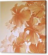 Amapola Flowers Canvas Print