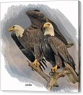 American Bald Eagle Pair Canvas Print