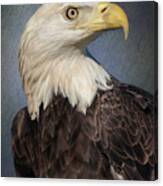 American Bald Eagle Portrait Canvas Print