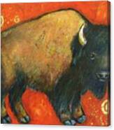 American Bison Canvas Print
