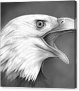 American Eagle Canvas Print