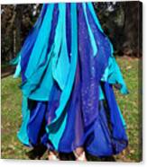 Ameynra belly dance fashion - Blue-teal skirt 46 Photograph by Sofia ...