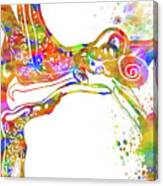 Anatomical Inner Ear Canvas Print