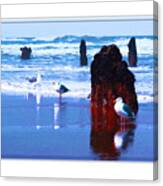 Ancient Trees And Seagulls At Neskowin Beach Canvas Print