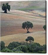 Andalusian Landscape Canvas Print