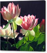 Andrea's Lillies Canvas Print