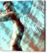 Angel Arial Canvas Print