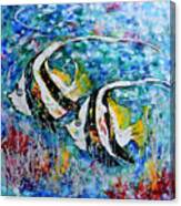 Angel Fish Canvas Print