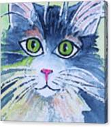 Another Cat Canvas Print