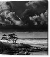 Another Day At Kalaloch Beach Canvas Print