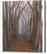 Another Trip Into The Woods Canvas Print