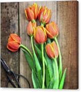 Antique Scissors And Bouguet Of Tulips Canvas Print