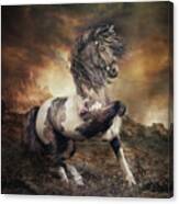 Apache War Horse Landscape Canvas Print