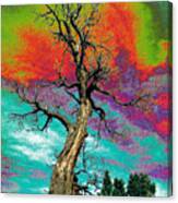 Apocalypse Tree Canvas Print