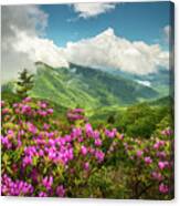 Appalachian Mountains Spring Flowers Scenic Landscape Asheville North Carolina Blue Ridge Parkway Canvas Print