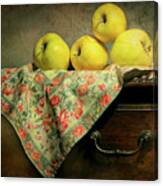 Apple Cloth Canvas Print