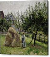 Apple Trees In Eragny, Sunny Morning, 1903 Canvas Print