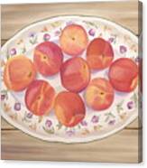 Apricots Canvas Print