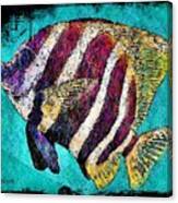 Aqua Fish Canvas Print