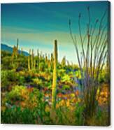 Arizona Landscape Series L9250069 Canvas Print