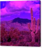 Arizona Purple Haze Canvas Print
