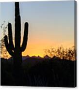 Arizona Sunset Canvas Print