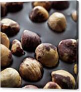 Artisanal Chocolate With Hazelnuts Canvas Print