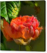 Artistic Rose And Leaf Canvas Print